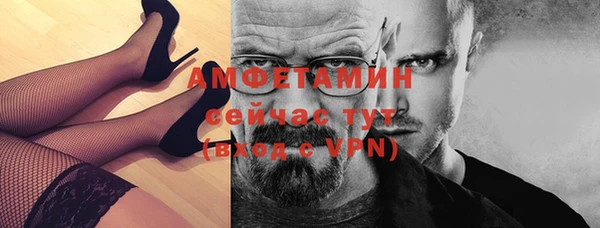 твердый Гусев