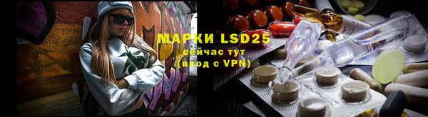 2c-b Горнозаводск