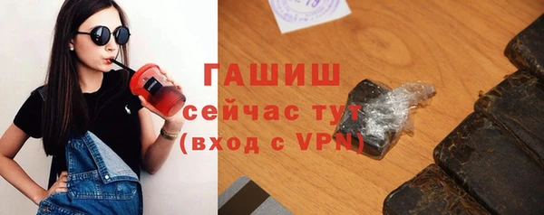 твердый Гусев