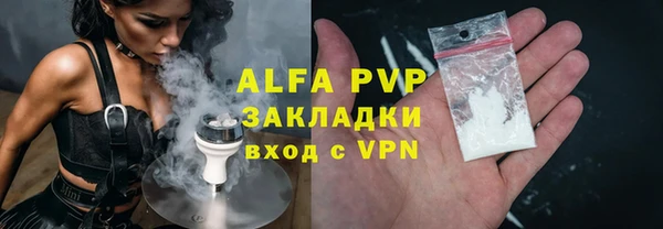 твердый Горняк