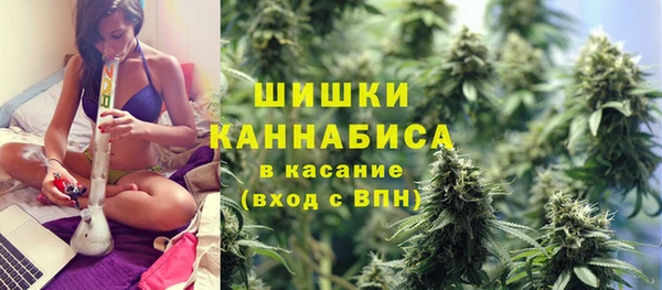 твердый Гусев