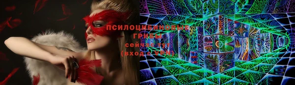 бошки Горно-Алтайск