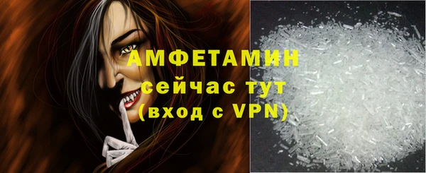 твердый Гусев